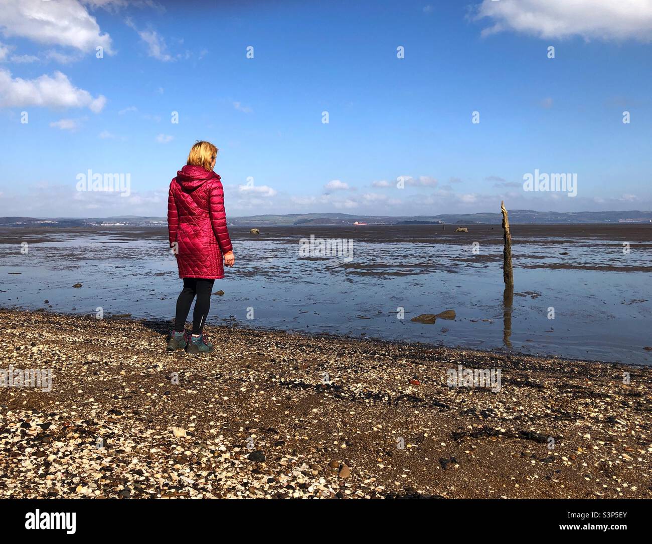Woman hiker looking out to the Firth estuary at low tide, Scotland - Smartphone Captured Stock Image