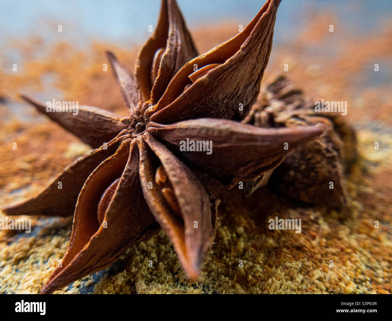 Star anise pod on a dusting of spices - Smartphone Captured Stock Image