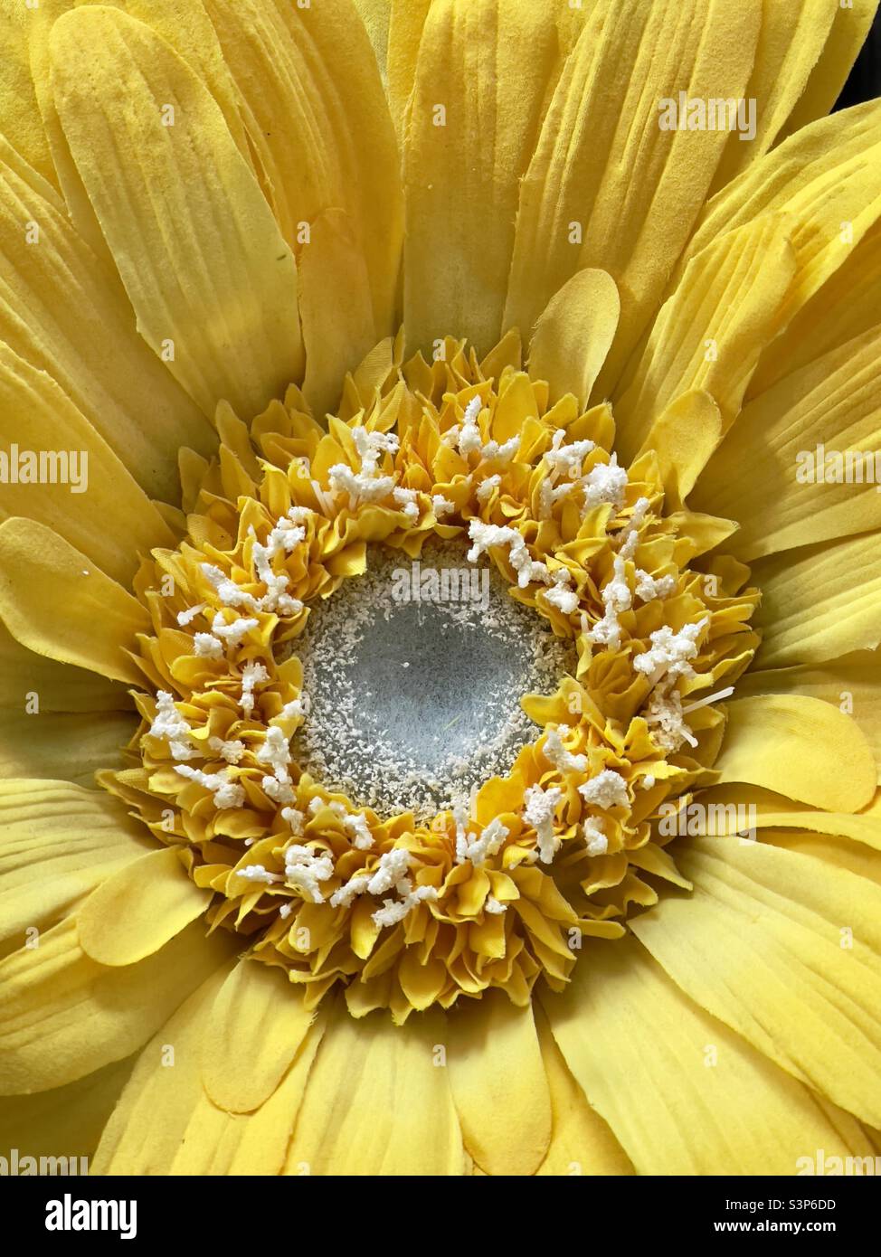The centre of a giant artificial flower, a huge yellow daisy - Smartphone Captured Stock Image