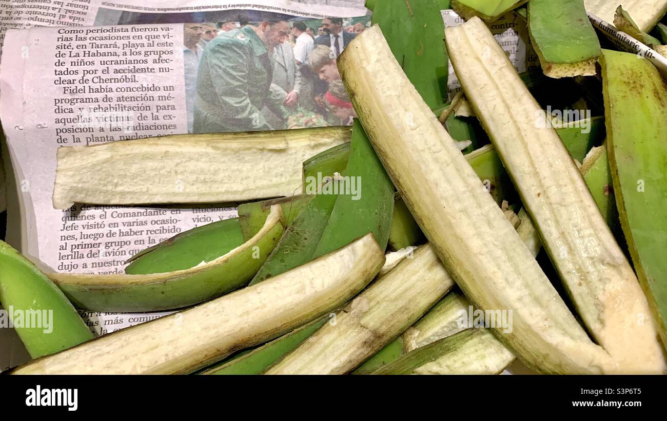 Plantain skins on a granma newspaper with an image of Fidel Castro. Day to day in a Cuban household. Havana, Cuba - Smartphone Captured Stock Image