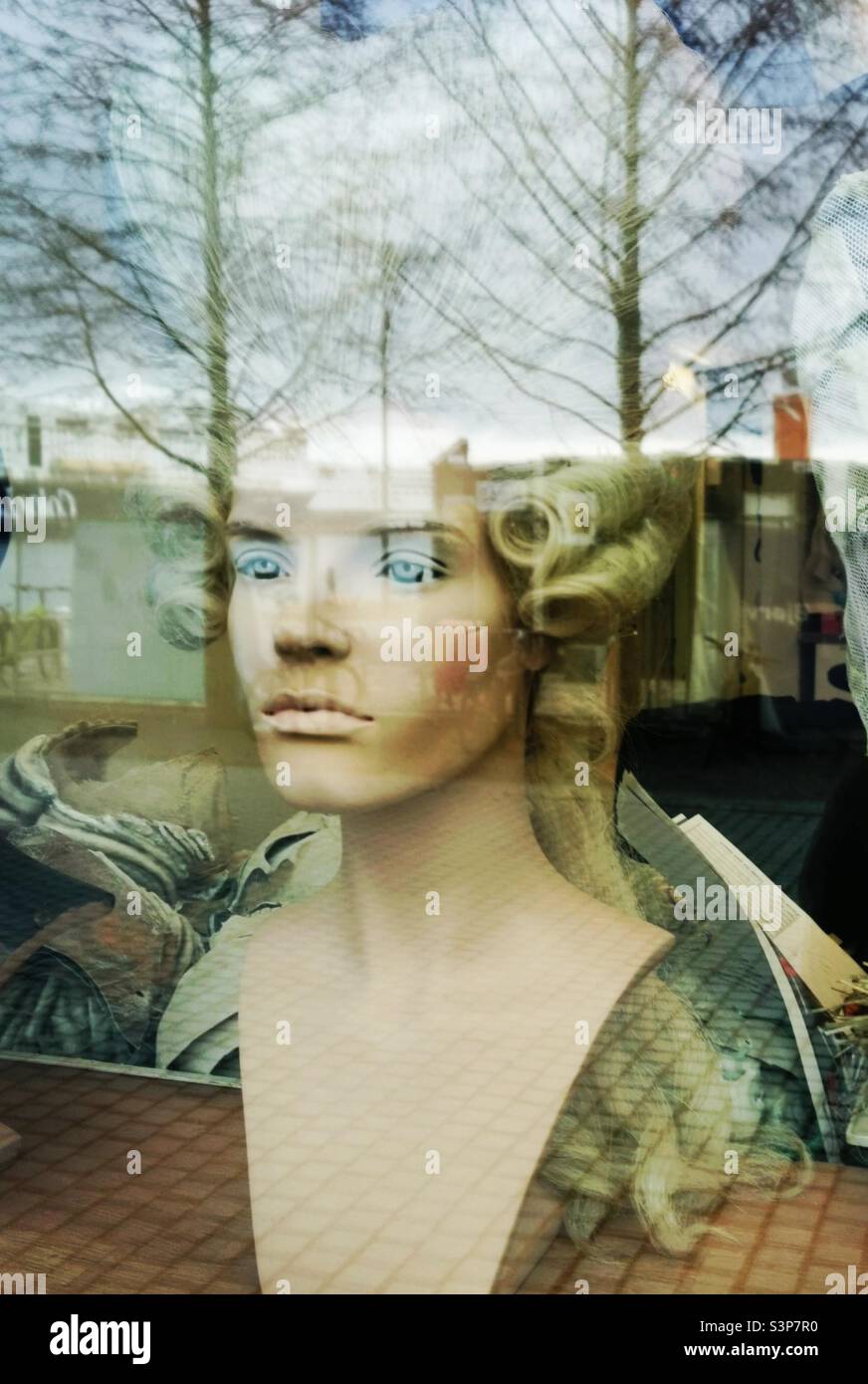mannequin head with wig in window with trees reflection Stock Photo