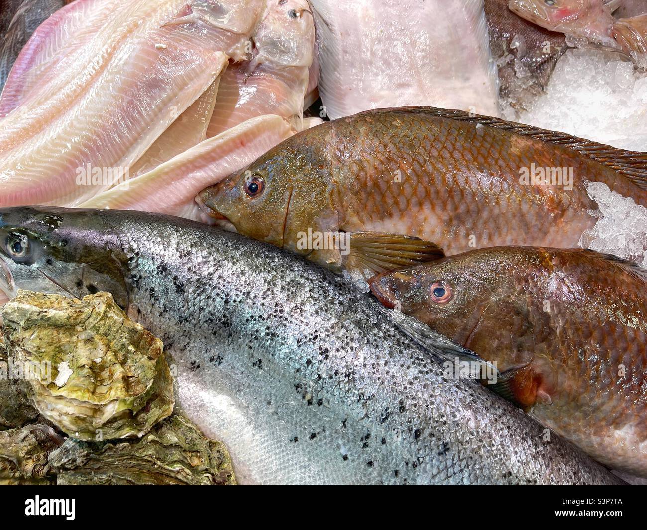 Fresh wrasse and other fish on display on a fishmonger’s stall. Stock Photo