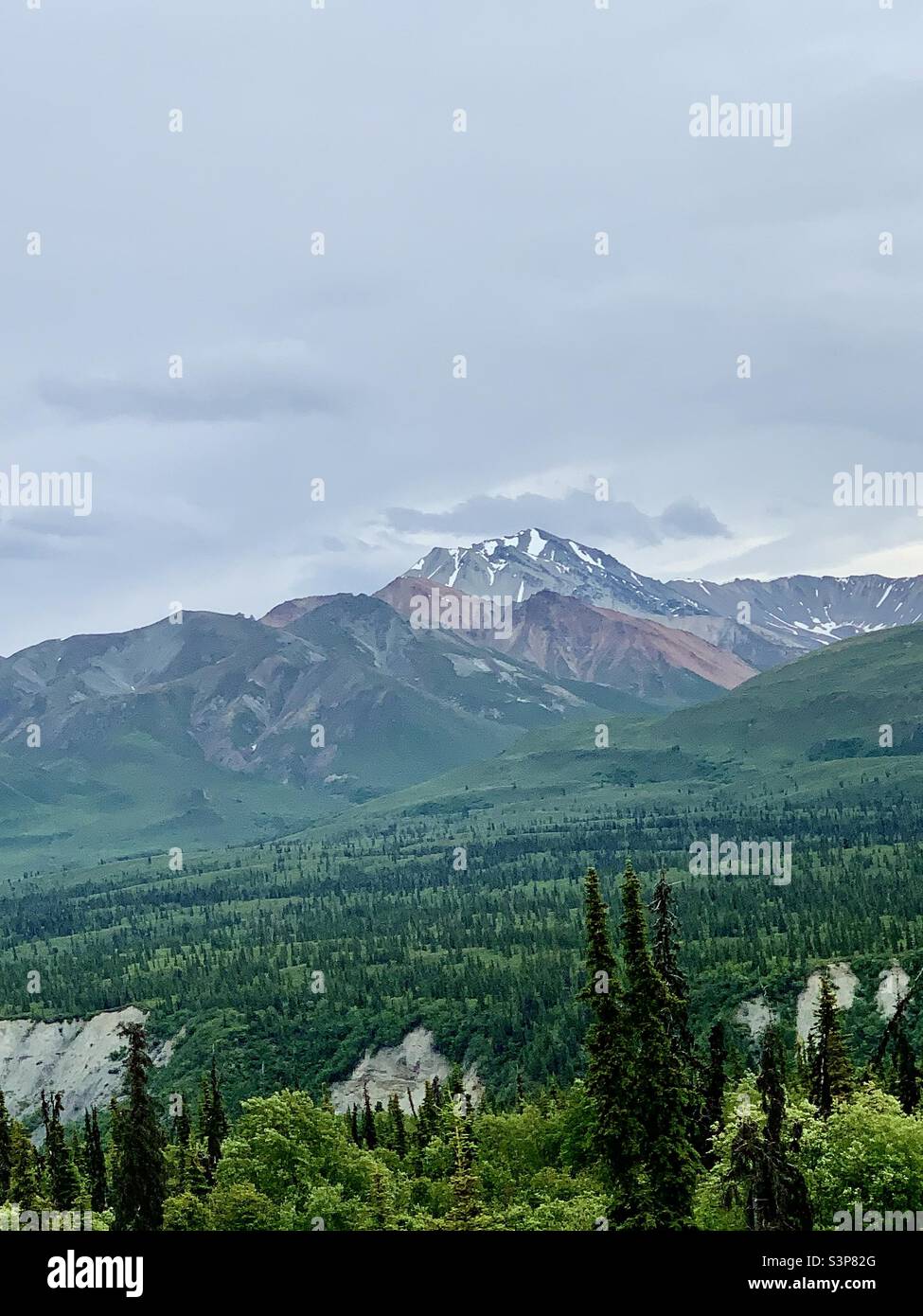 A mountain ridge surrounding a lush forested valley along the Glenn Highway in Alaska Stock