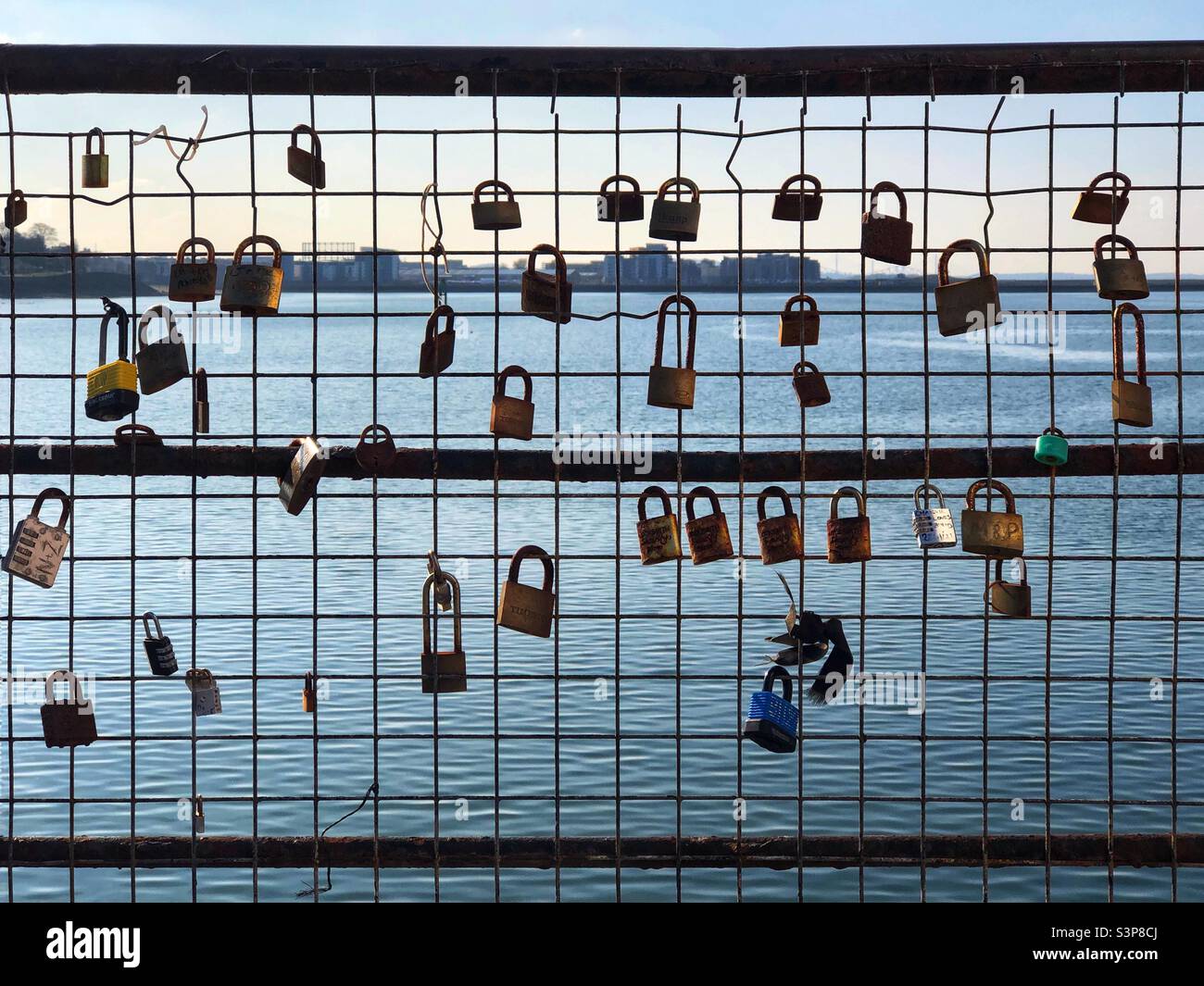 Lovelocks on a wire fence overlooking the estuary - Smartphone Captured Stock Image