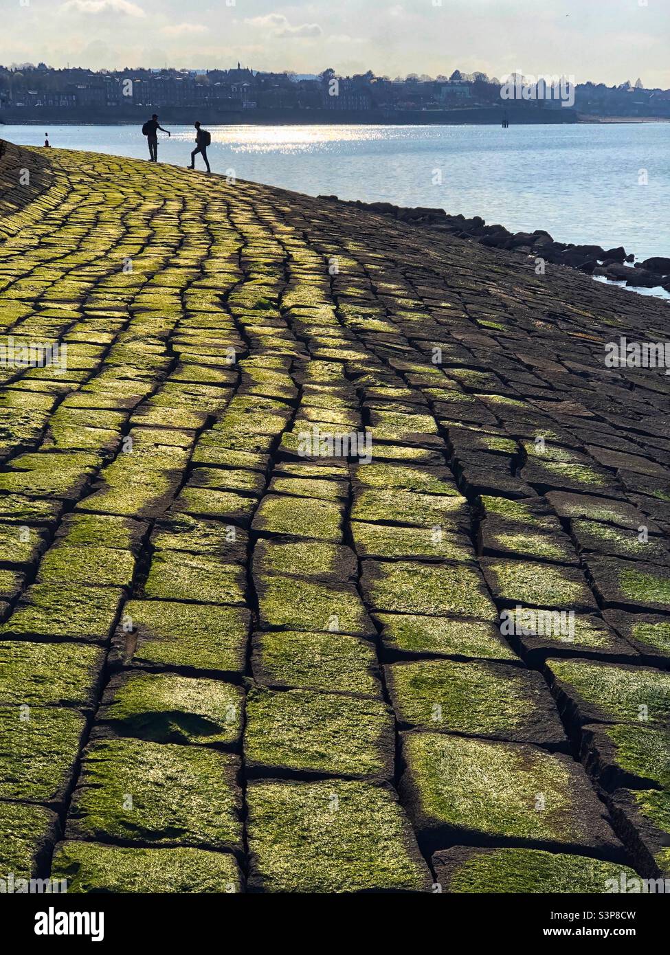 Causeway at estuary covered in green algae and seaweed at low tide - Smartphone Captured Stock Image