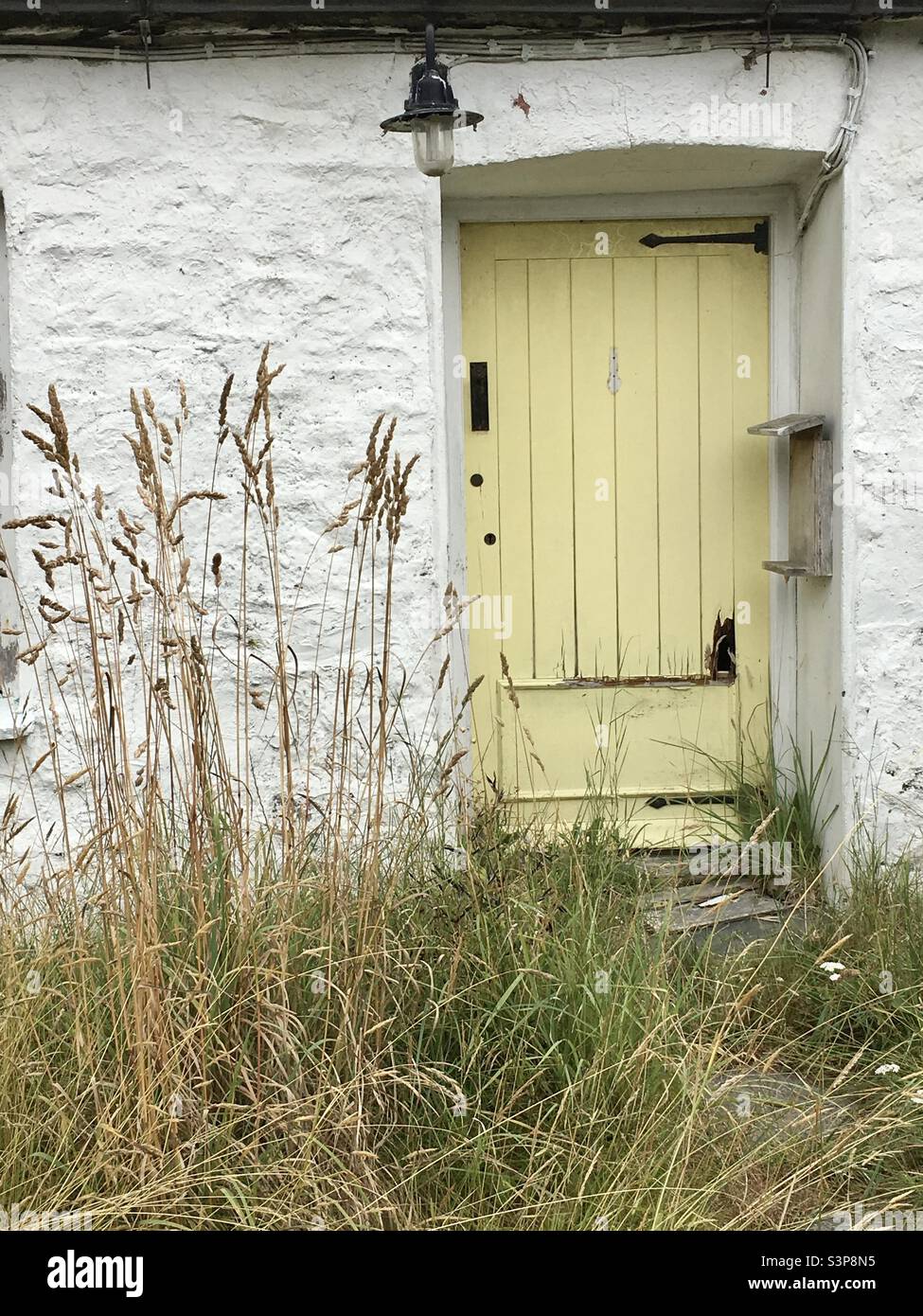 Yellow cottage door and long grass Stock Photo
