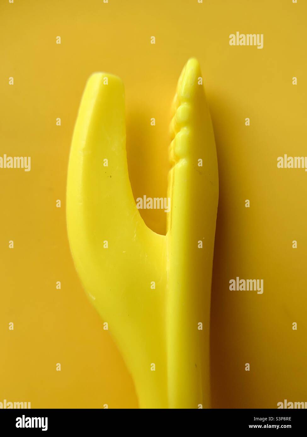 Yellow Crab cracker - Smartphone Captured Stock Image