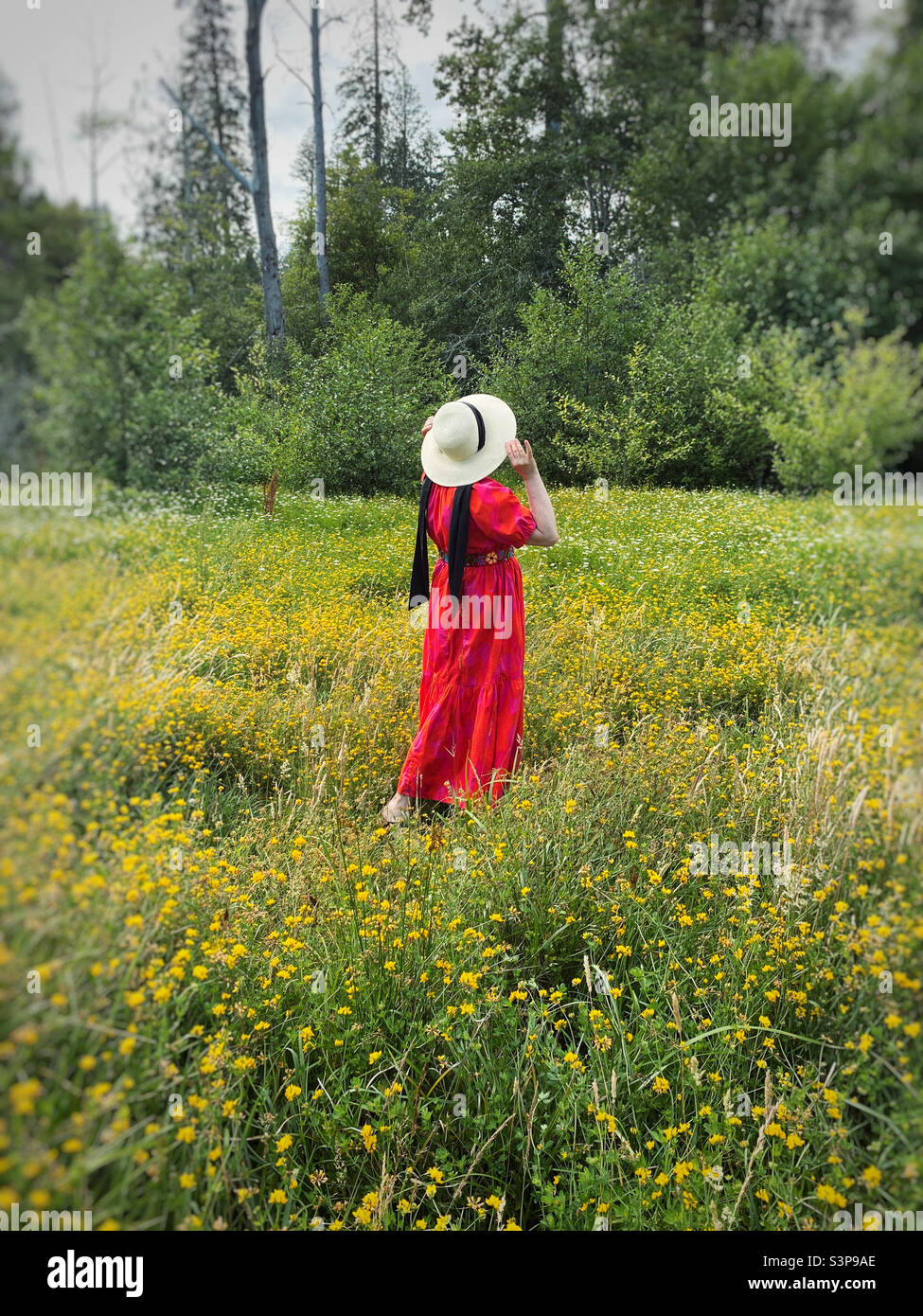 Summer is coming - Smartphone Captured Stock Image