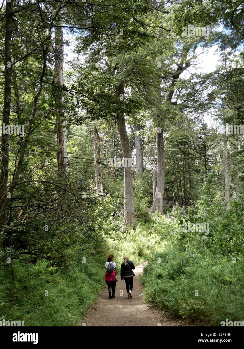 Walking in nature hi-res stock photography and images - Alamy