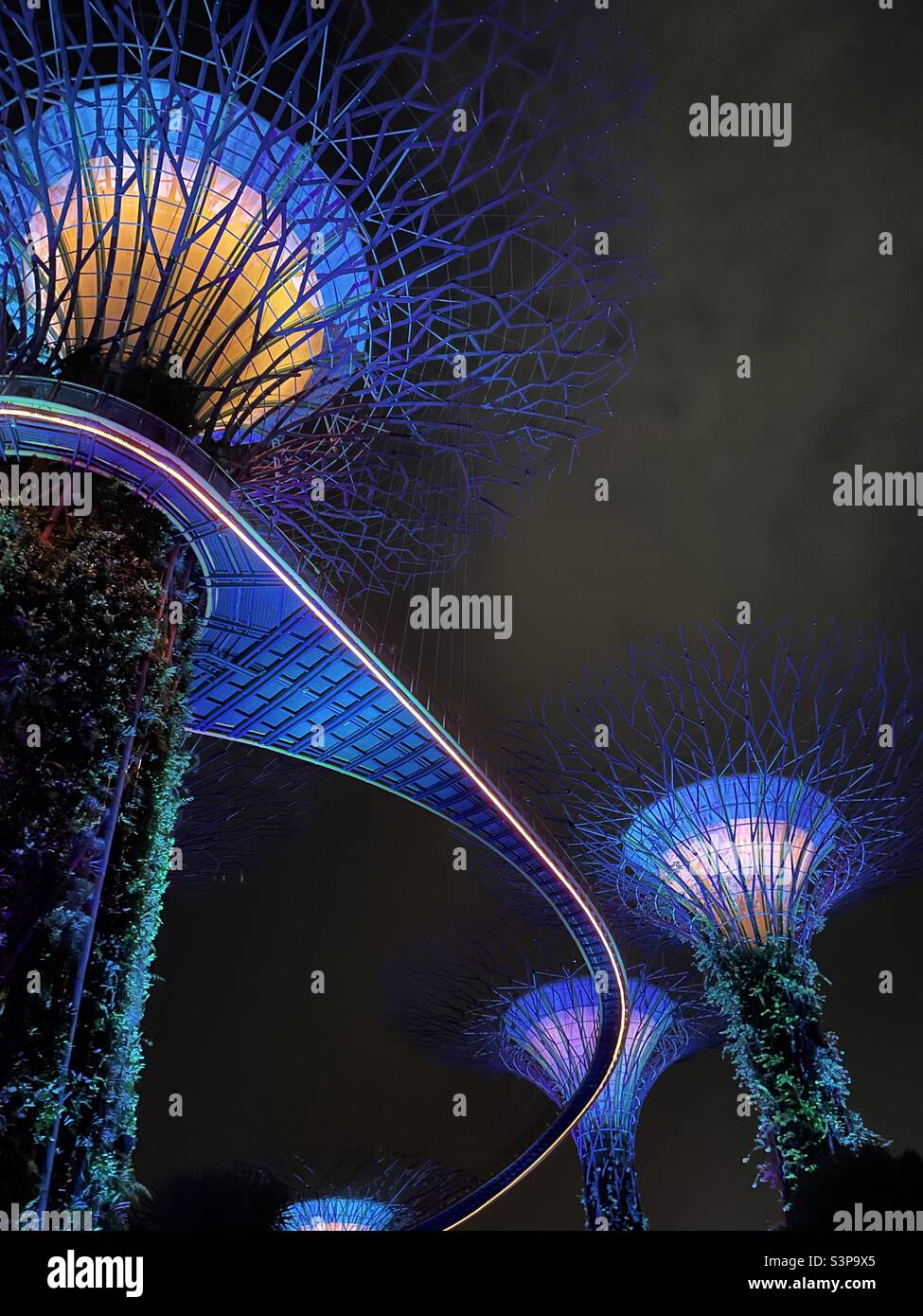 Super groove tree cluster at Singapore garden by the bay Stock Photo