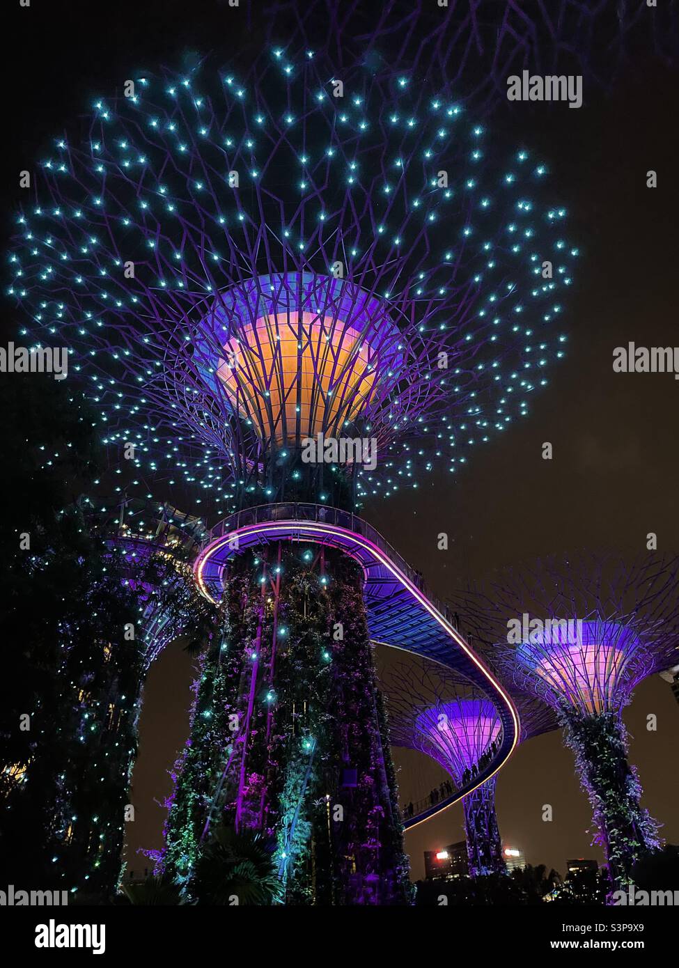 Super groove tree cluster at Singapore garden by the bay Stock Photo