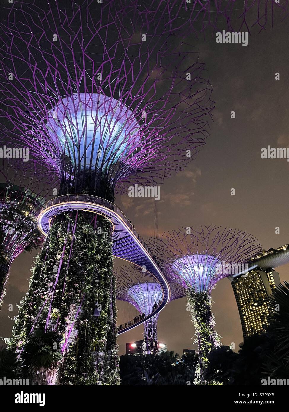 Super groove tree cluster at Singapore garden by the bay Stock Photo ...