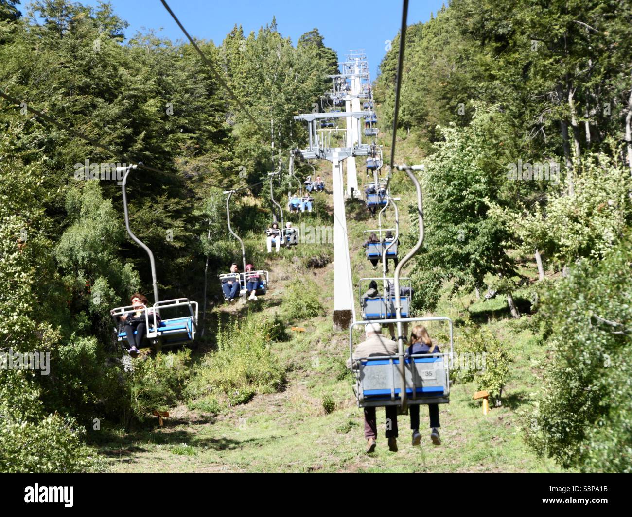 Cableway trees hi-res stock photography and images - Alamy
