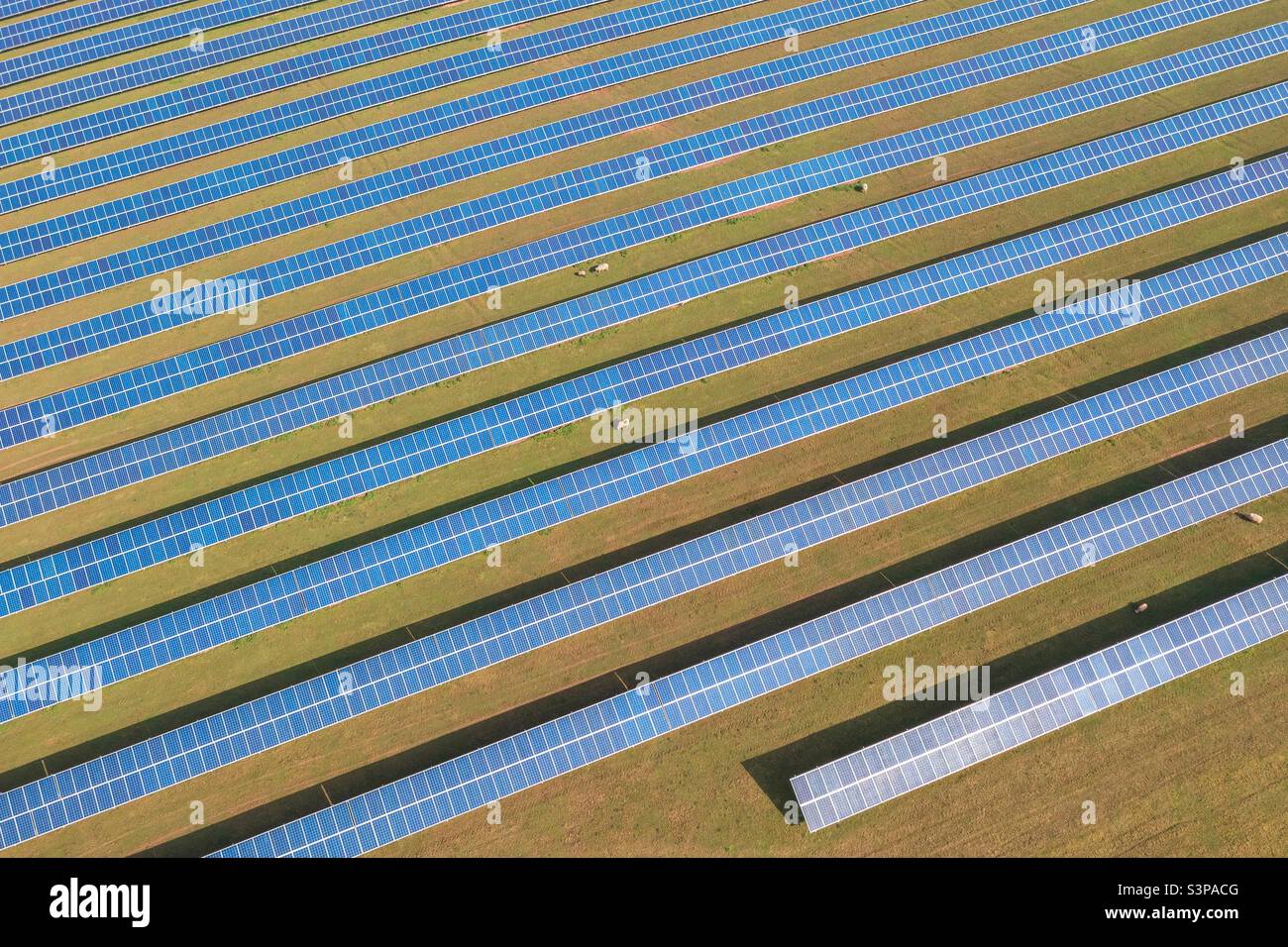 Solar panels - Smartphone Captured Stock Image