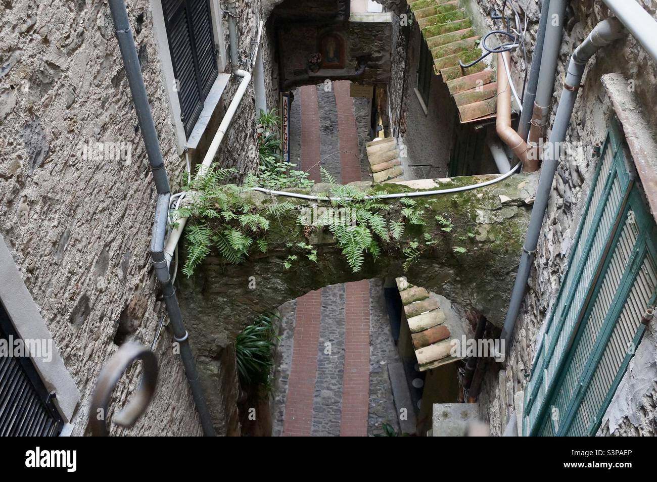 One of the many structural archways covered with moss and ferns in the medieval village of Dolceacqua. - Smartphone Captured Stock Image