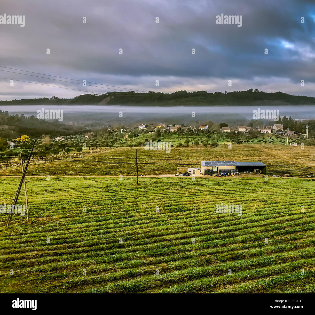 Ploughed green fields lead to agricultural buildings and misty hills in the distance - Smartphone Captured Stock Image