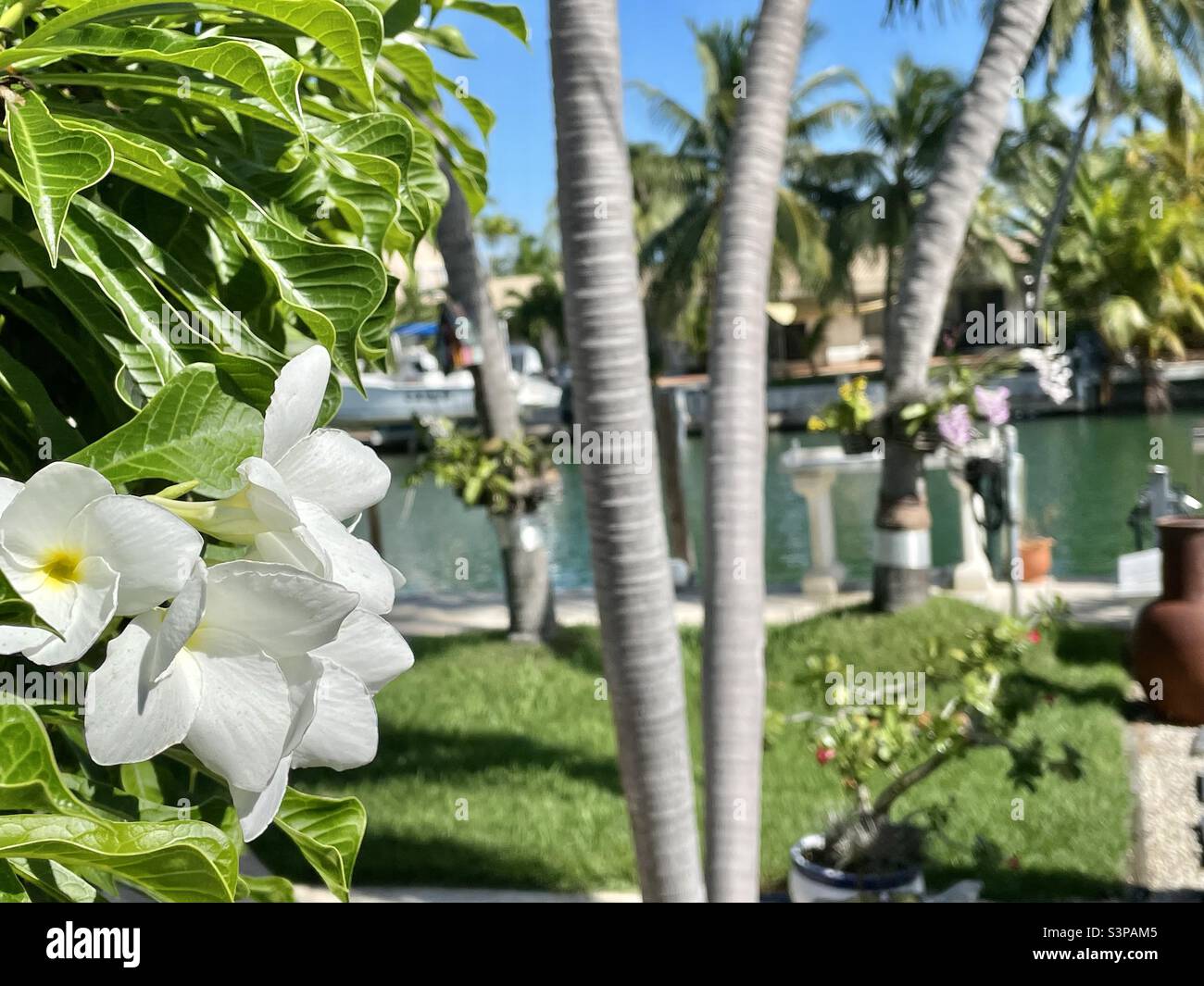 Florida keys canal view Stock Photo Alamy