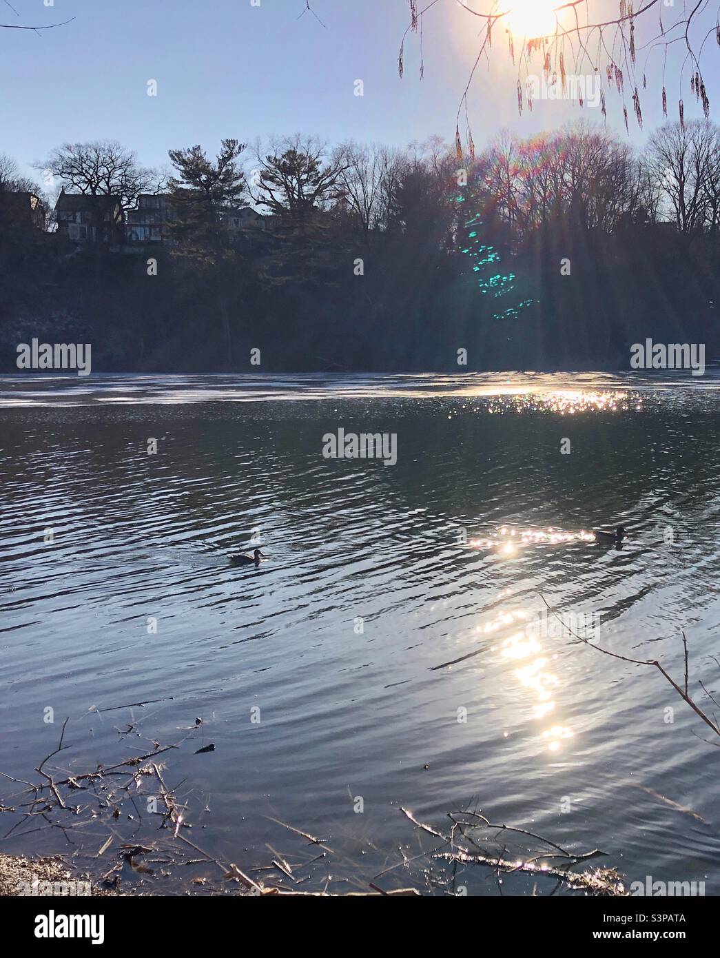 The sun rays reflected on shimmering water. Stock Photo