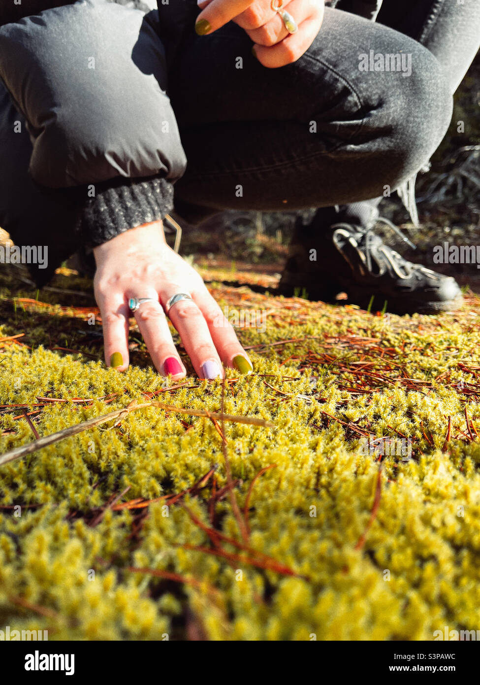 Touching nature - Smartphone Captured Stock Image