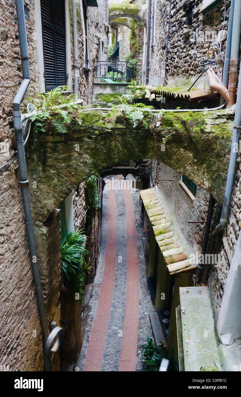 The moss and fern covered structural archways of the medieval village of Dolceacqua in Italy. - Smartphone Captured Stock Image