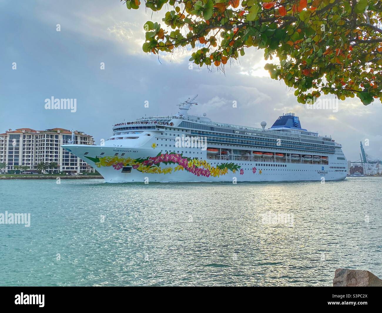 Cruise ship leaving Miami Florida Stock Photo Alamy