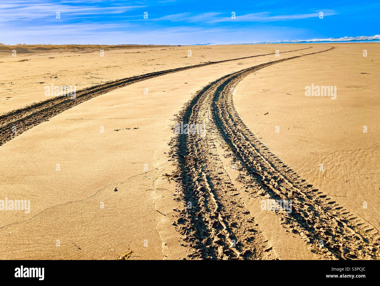 Tire tracks in the sand. Long Beach, Washington State, USA Stock Photo