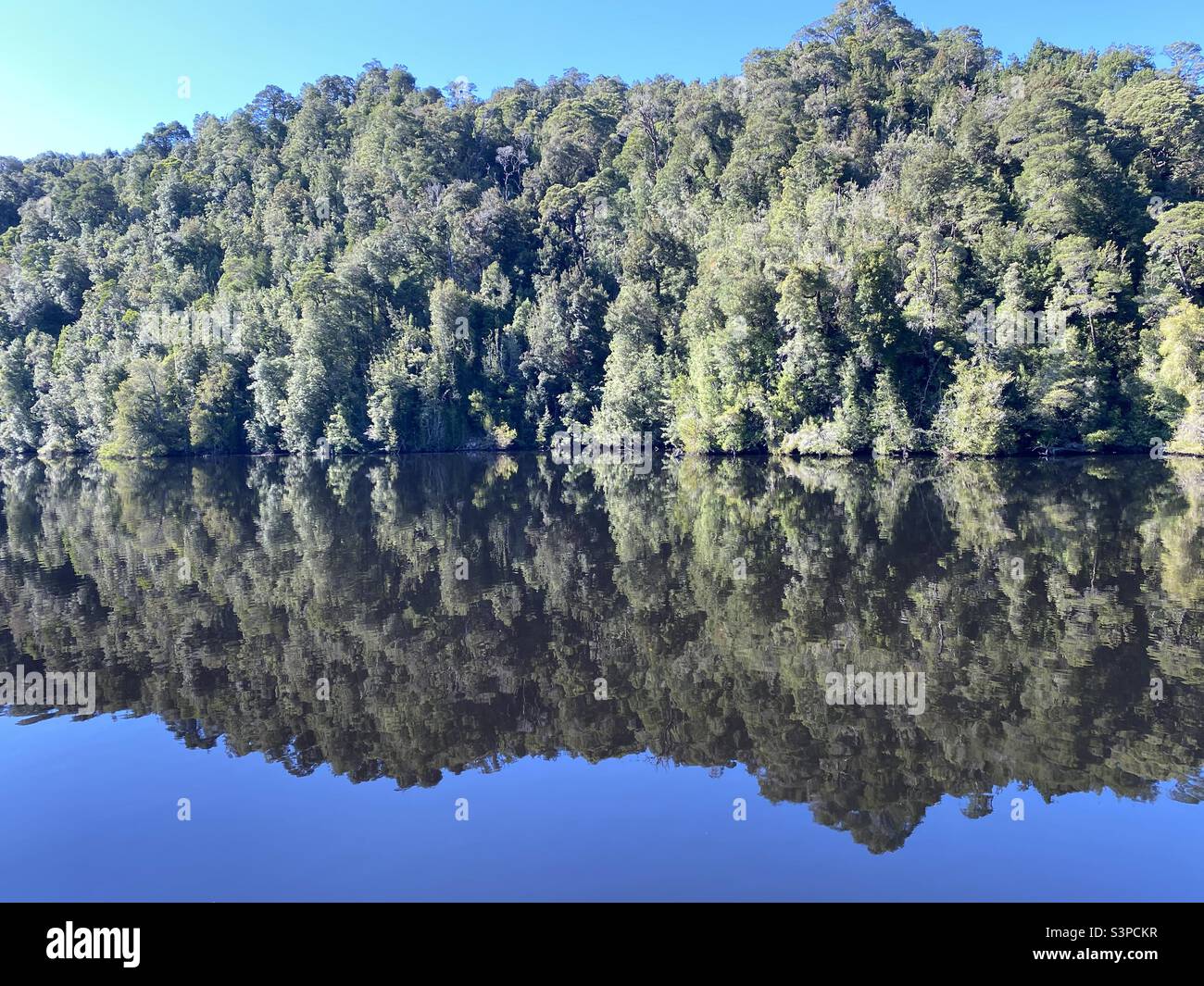 Natures mirror hi-res stock photography and images - Alamy