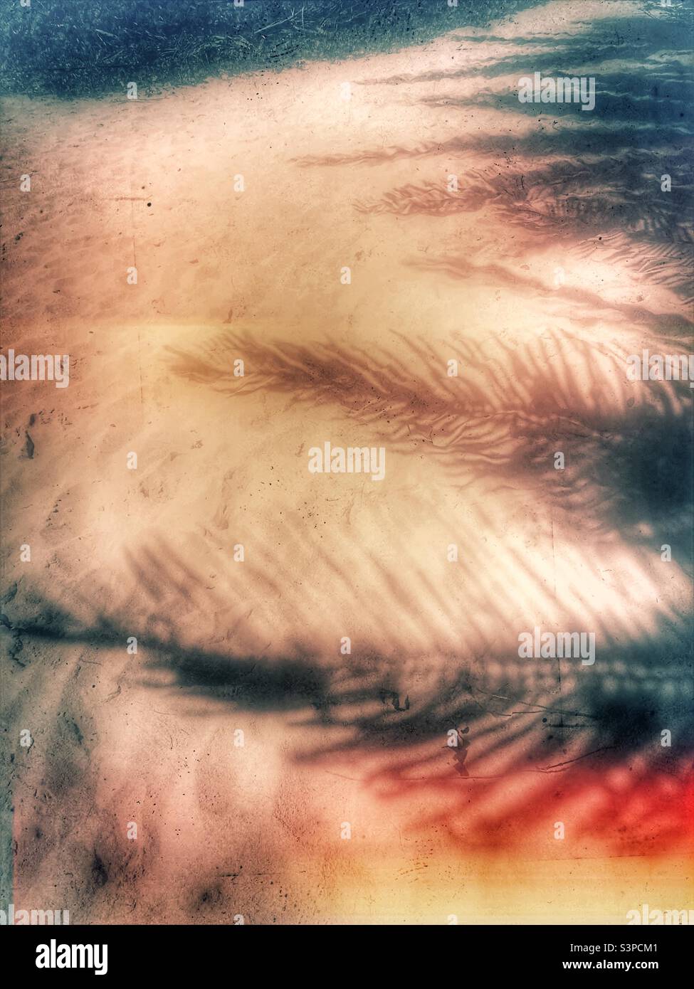 Palm shadow on sand hi-res stock photography and images - Alamy