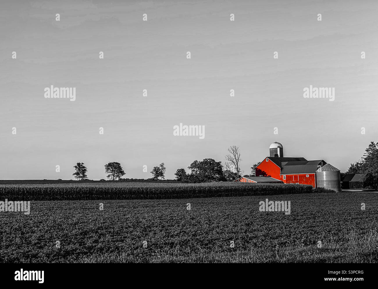 Red barn in Wisconsin selective color on black and white Stock Photo