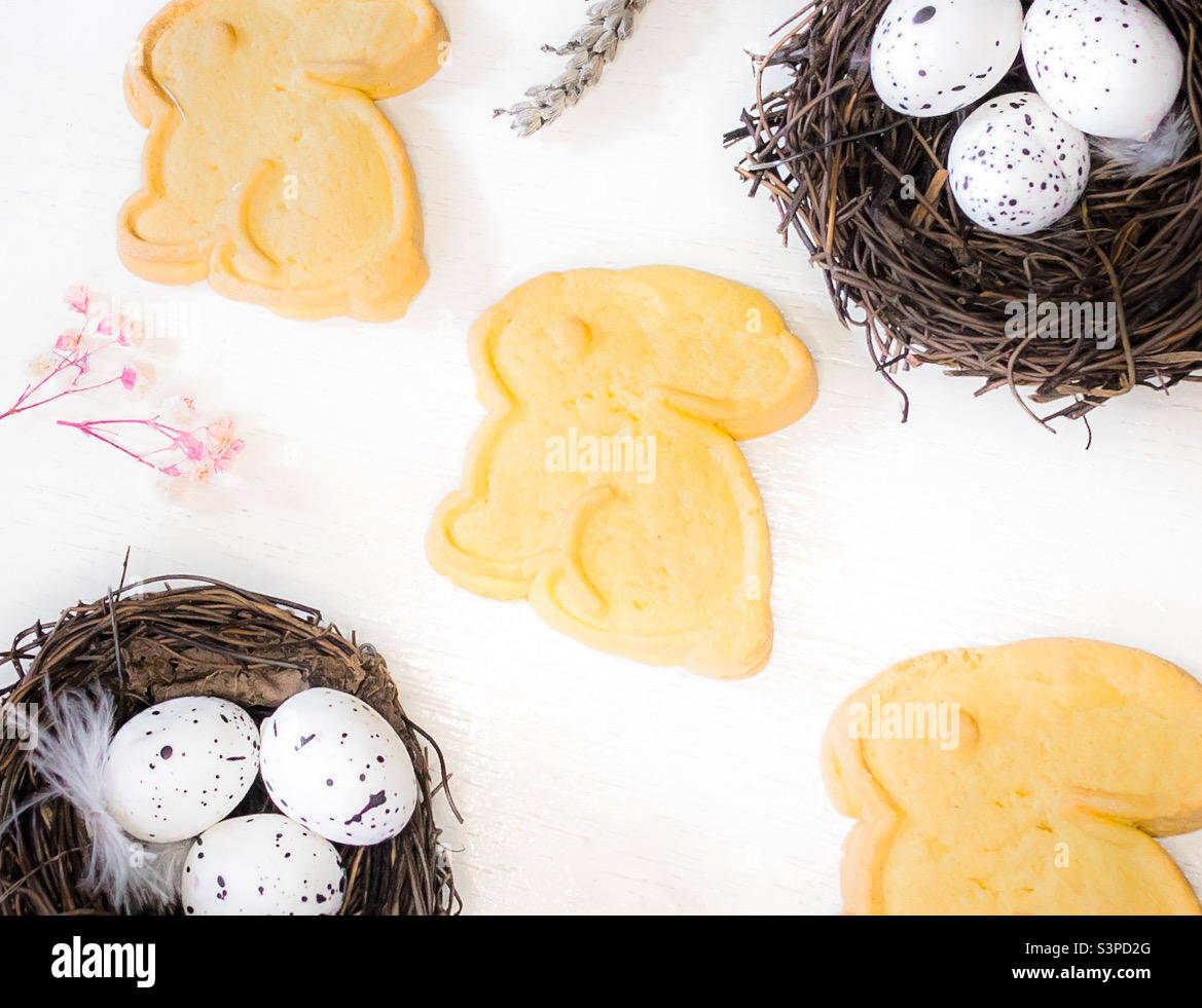 Flat lay of bird’s nests with speckled eggs, dried flowers and bunny biscuits - Smartphone Captured Stock Image