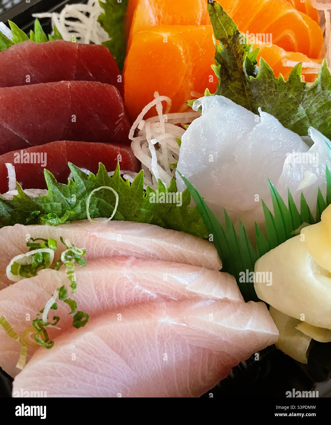 Close up of a assorted sashimi meal from an upscale Japanese restaurant - Smartphone Captured Stock Image