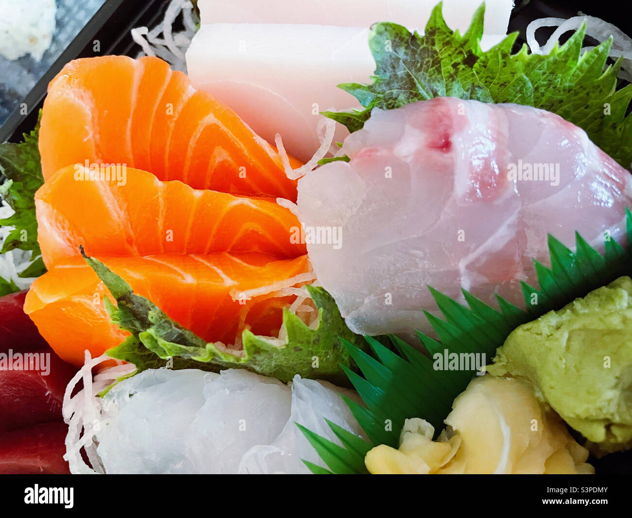 Close up of a sashimi meal - Smartphone Captured Stock Image