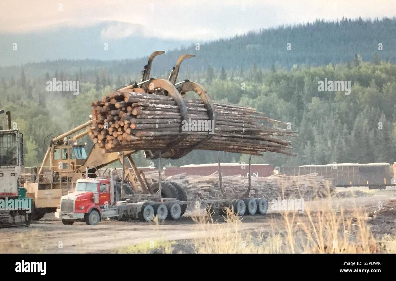 Lumber industry, British Columbia, Canada, heavy machines, logging industries - Smartphone Captured Stock Image
