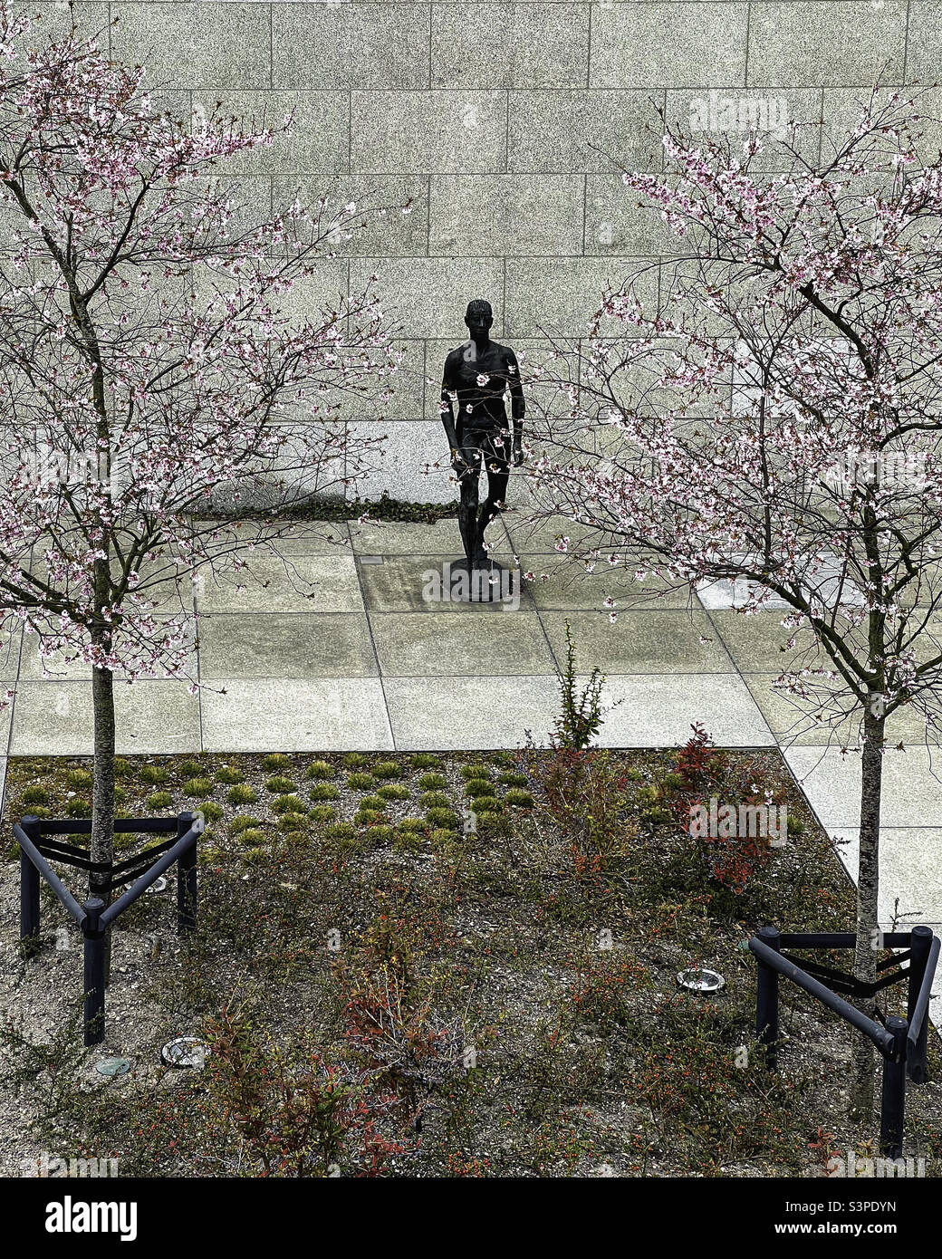 Neue Nationalgalerie sculpture garden at the Kulturforum. MitteBerlin