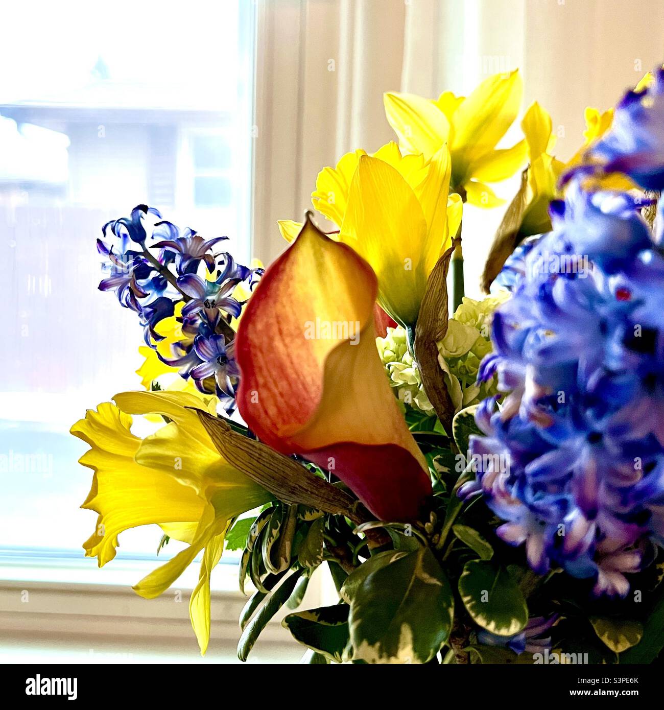 Spring bouquet backlit by window Stock Photo