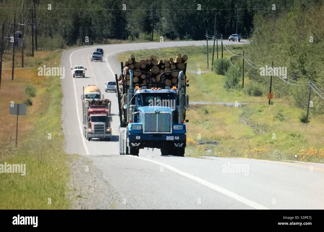 Lumber industry, British Columbia, Canada, lumber, logging, wood, industry, trucking, trucks, hauling, commercial - Smartphone Captured Stock Image