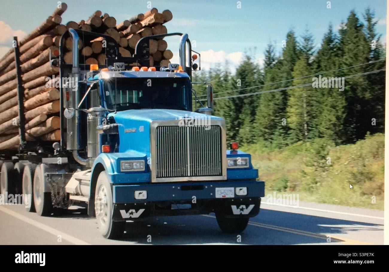 Lumber industry, British Columbia, Canada, lumber, logging, wood, industry, trucking, trucks, hauling, commercial Stock Photo