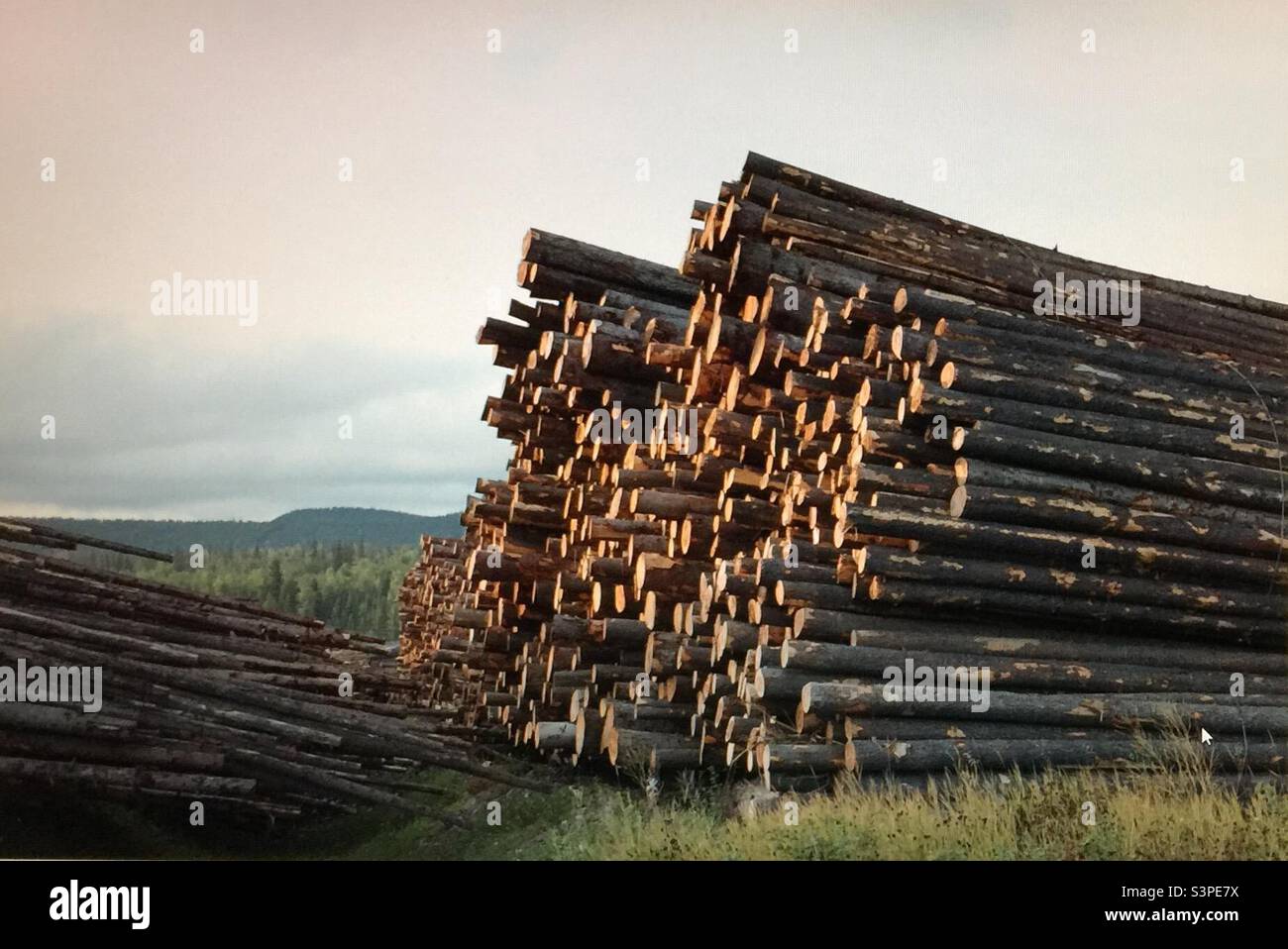 Lumber industry, British Columbia, Canada, lumber, logging, wood, industry, trucking, trucks, hauling, commercial Stock Photo