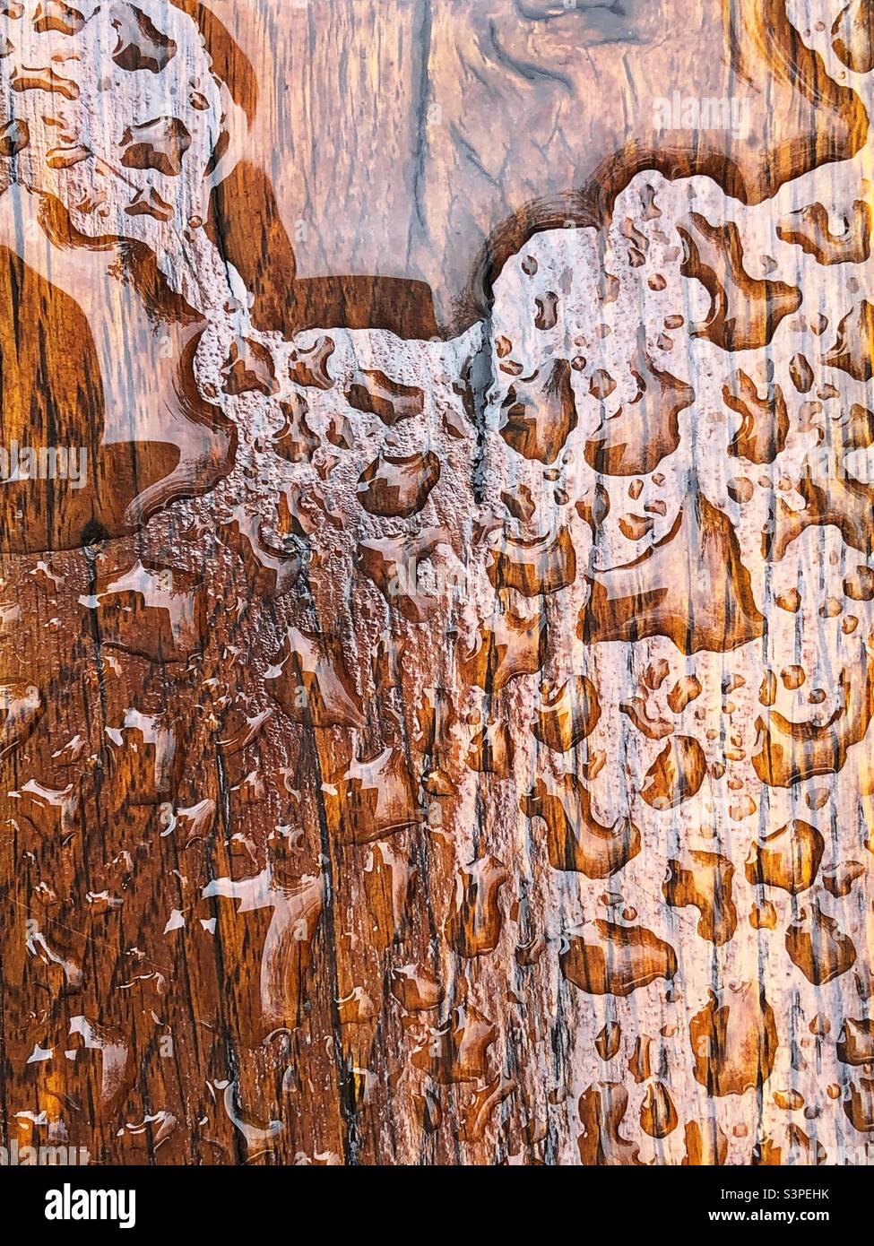 Outdoor wooden bench covered in raindrops - Smartphone Captured Stock Image