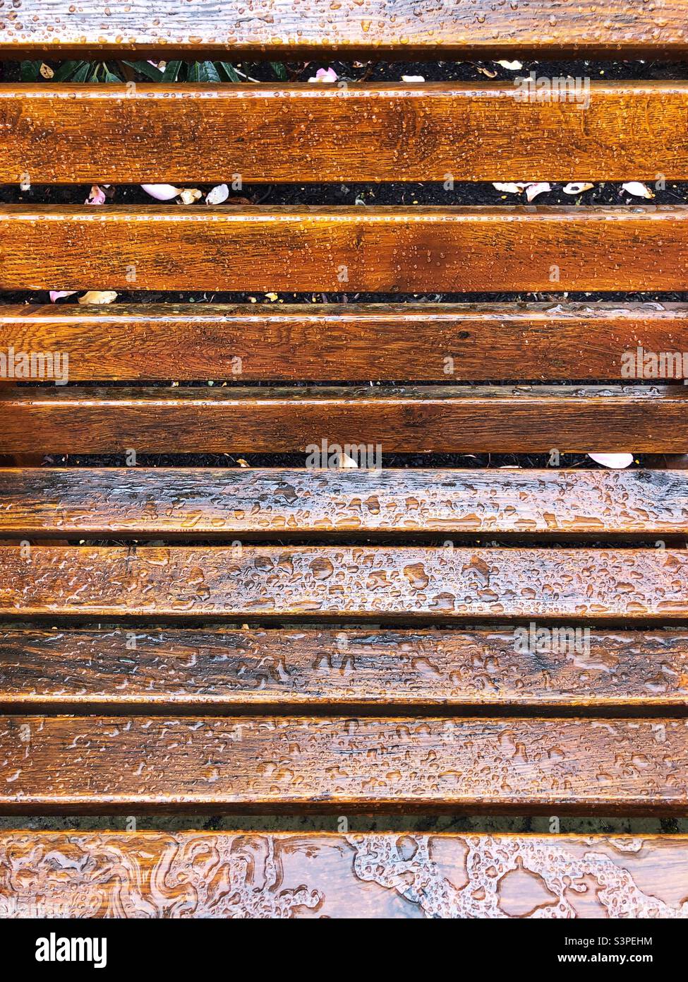 Outdoor wooden bench covered in raindrops - Smartphone Captured Stock Image