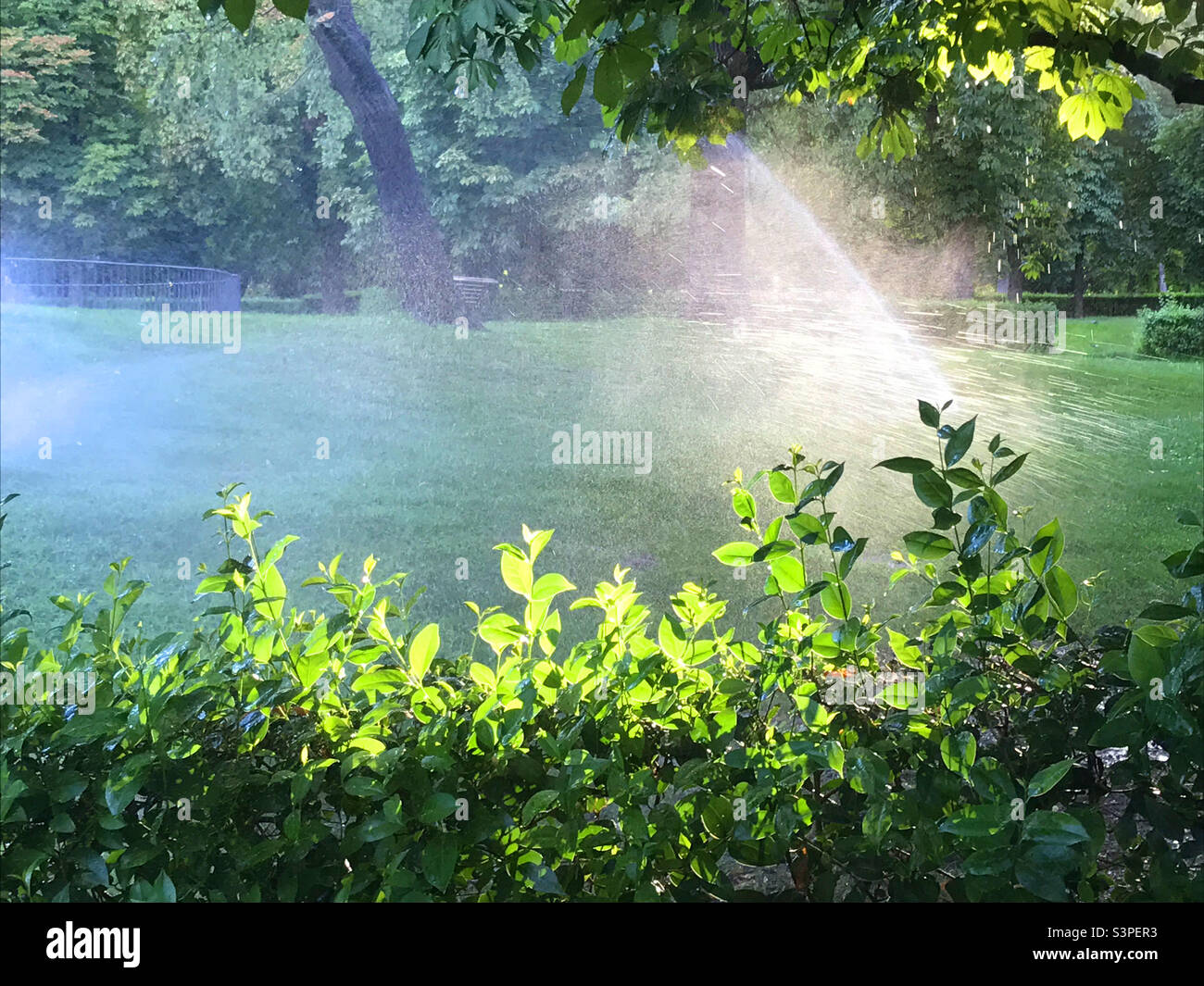 Irrigation - Smartphone Captured Stock Image