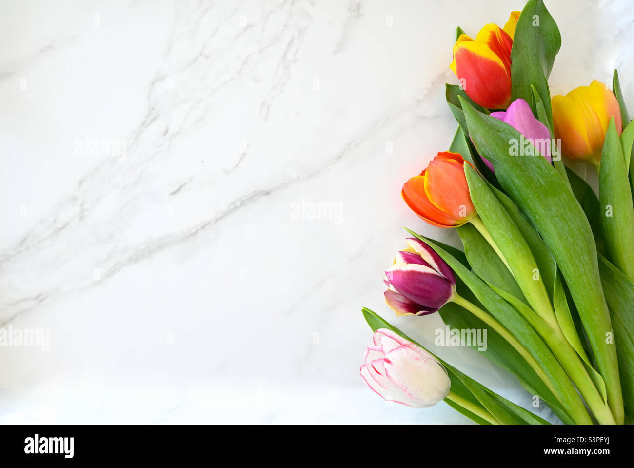 Spring tulips on marble space for copy Stock Photo