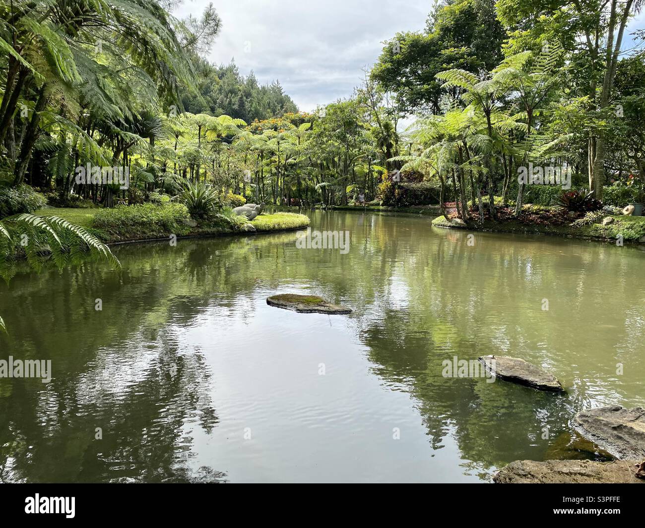 Tropical garden in Puncak West Java Indonesia Stock Photo - Alamy