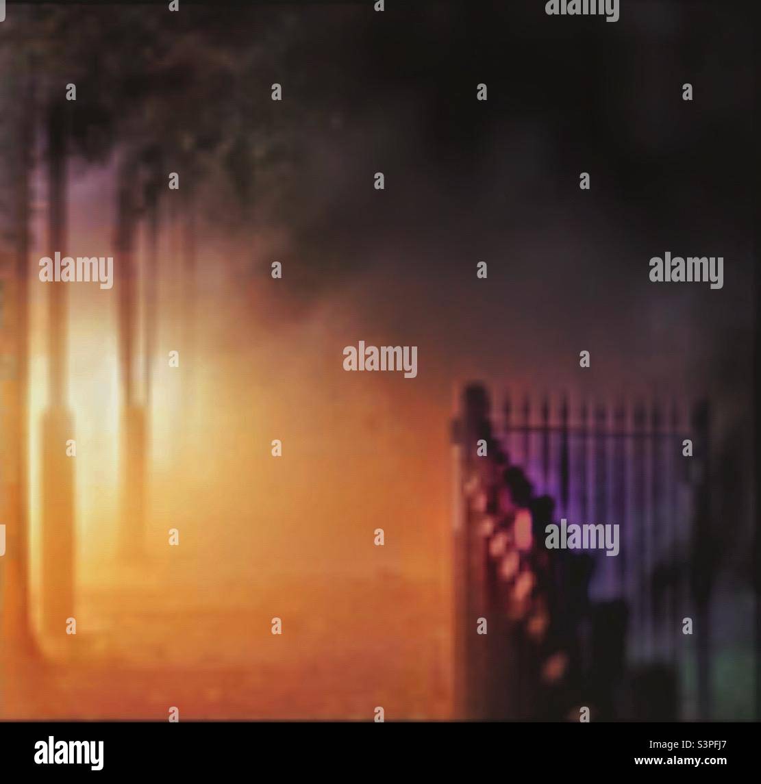 Headlights on the mist. - Smartphone Captured Stock Image