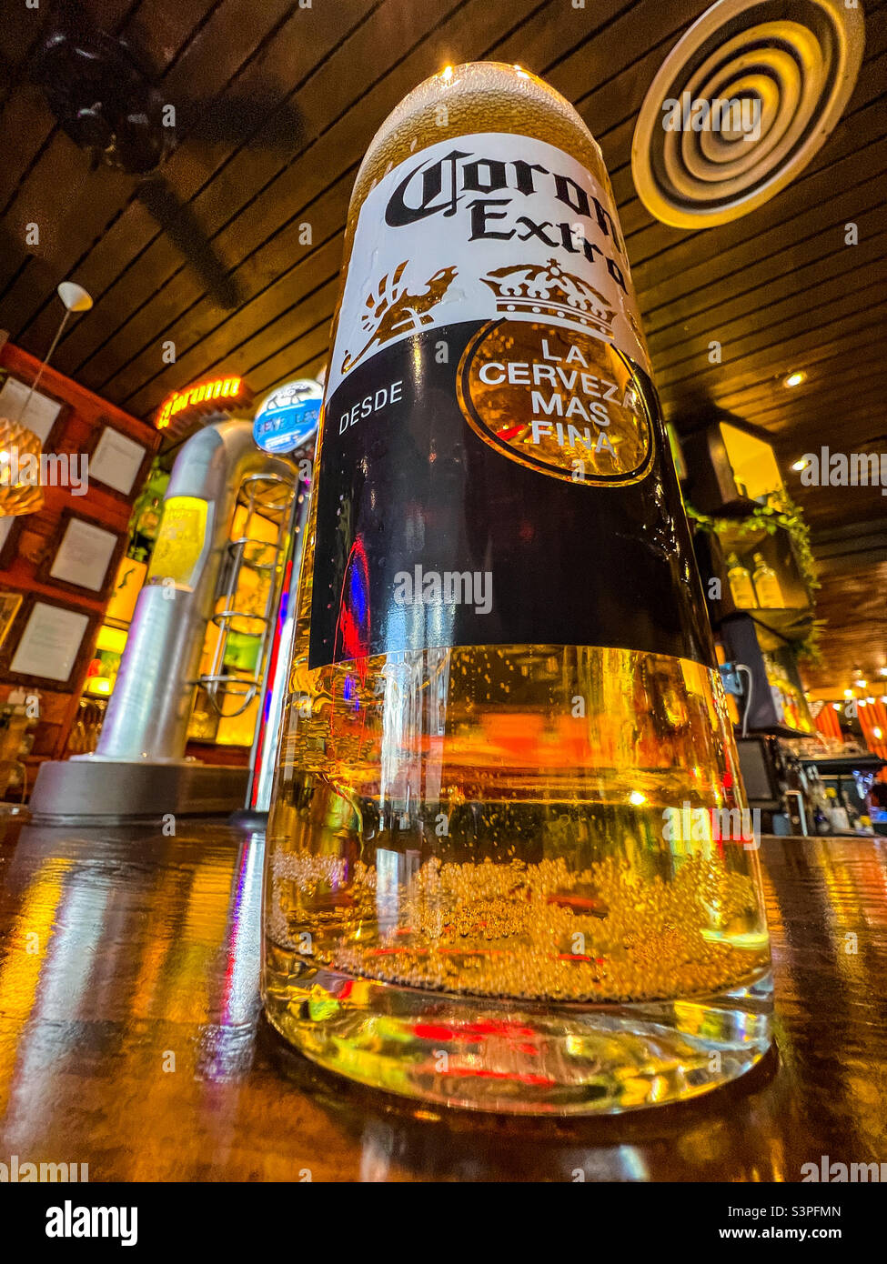 Refreshing pint of ice cold Corona Extra on bar Stock Photo