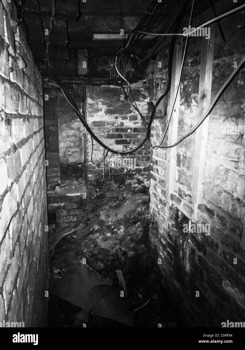 Hotel cellar during lockdown - Smartphone Captured Stock Image