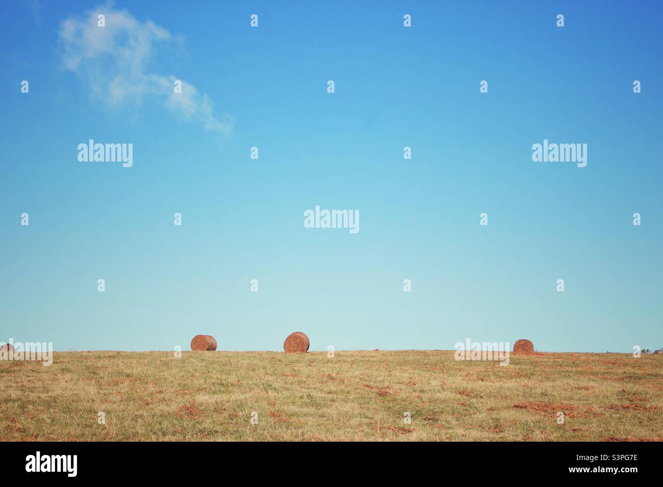 A photograph of rural farmland with hay bales on the low horizon. Copy space big sky. - Smartphone Captured Stock Image