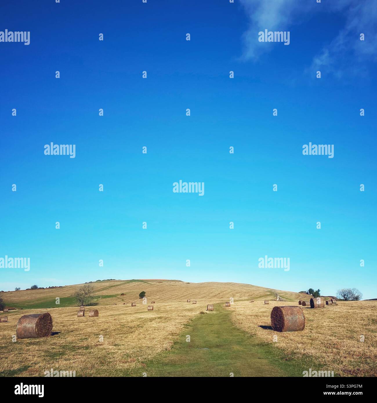 A photograph of rural farmland with hay bales and a footpath of grass ...