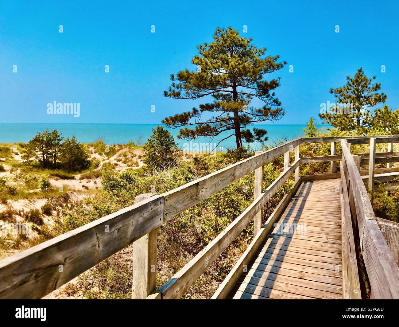 A picturesque boardwalk leads to the dunes and Lakeshore at pinery