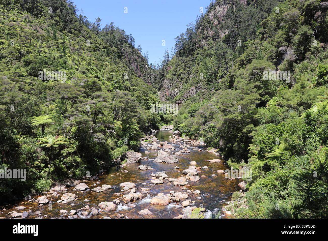 Karangahake Gorge NZ Stock Photo